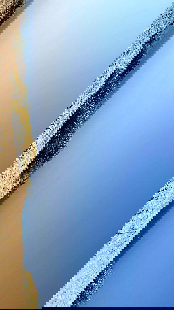 efrat_elmalich image ~ Altpins