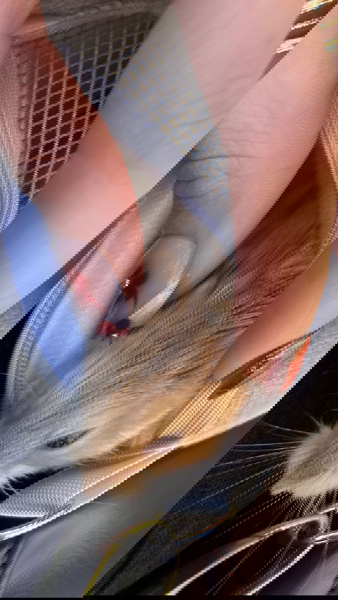 efrat_elmalich instagram image archive image