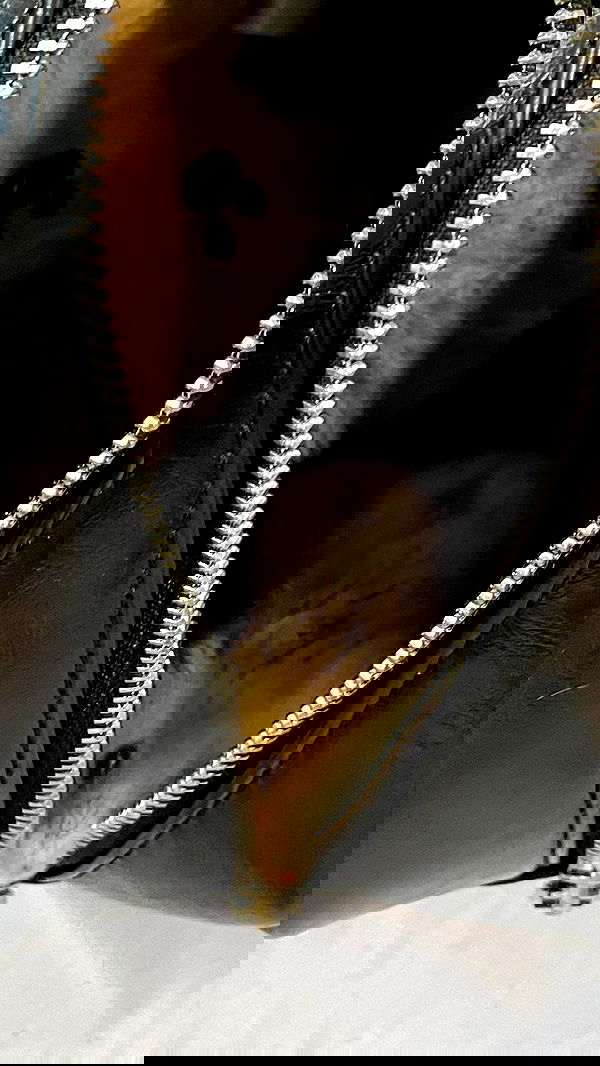 efrat_elmalich image ~ Altpins