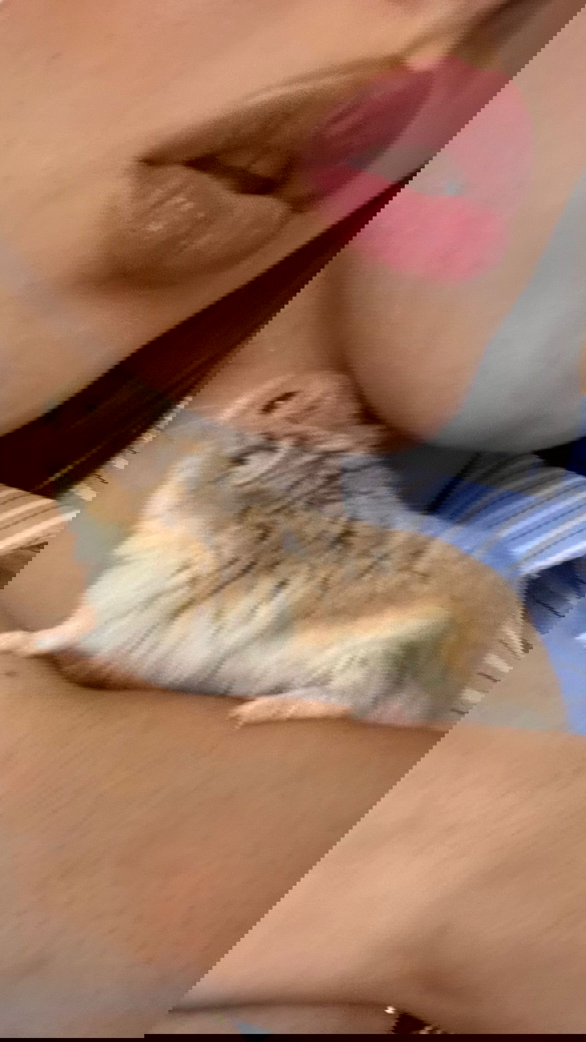 efrat_elmalich instagram image archive image