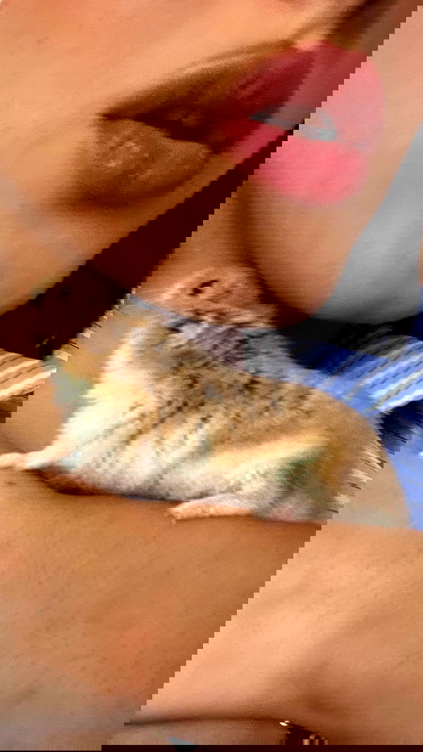 efrat_elmalich image ~ Altpins