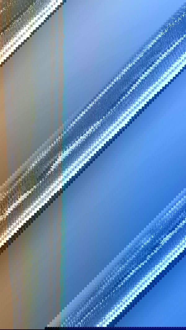 efrat_elmalich image ~ Altpins