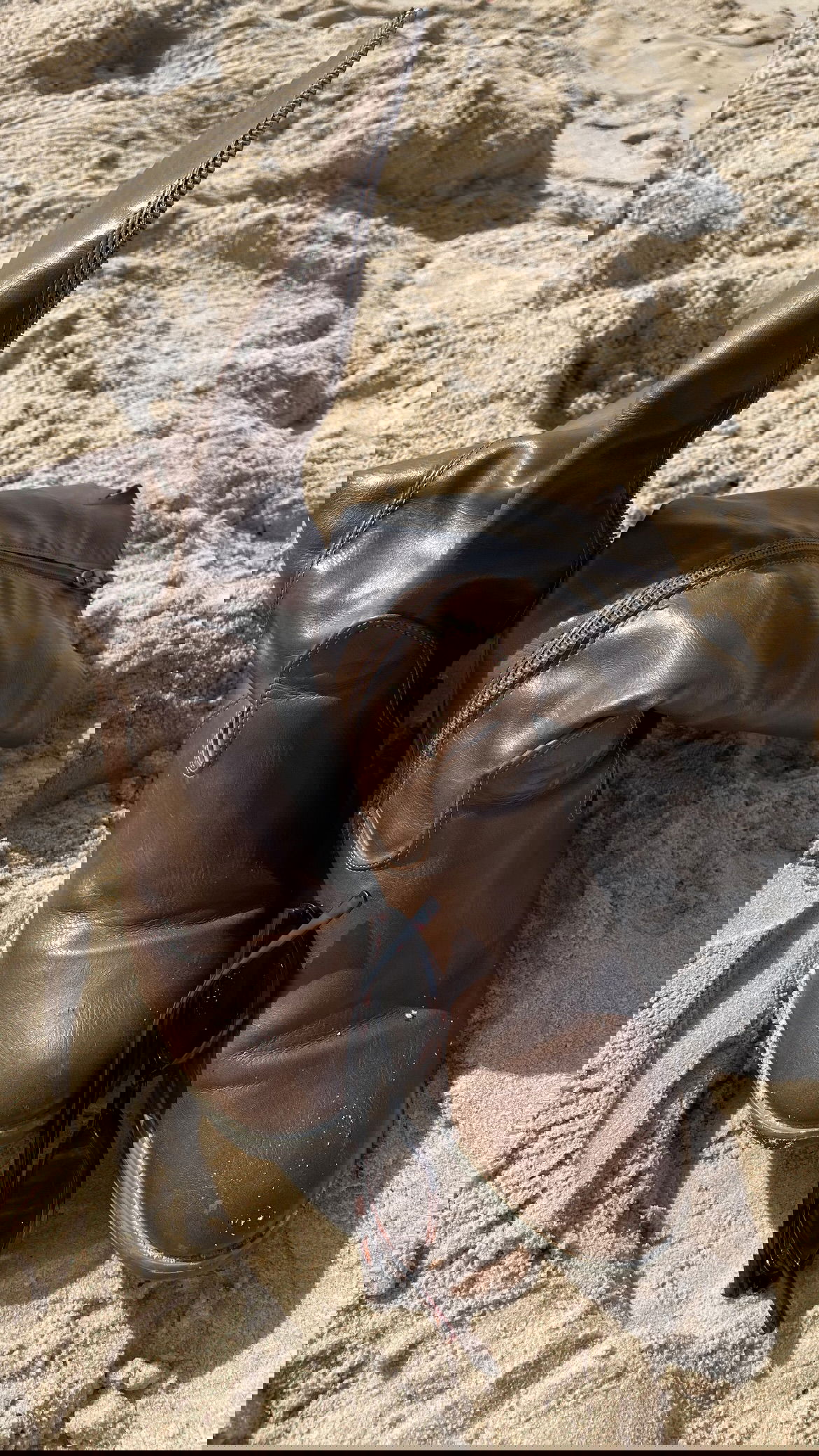 efrat_elmalich instagram image archive image