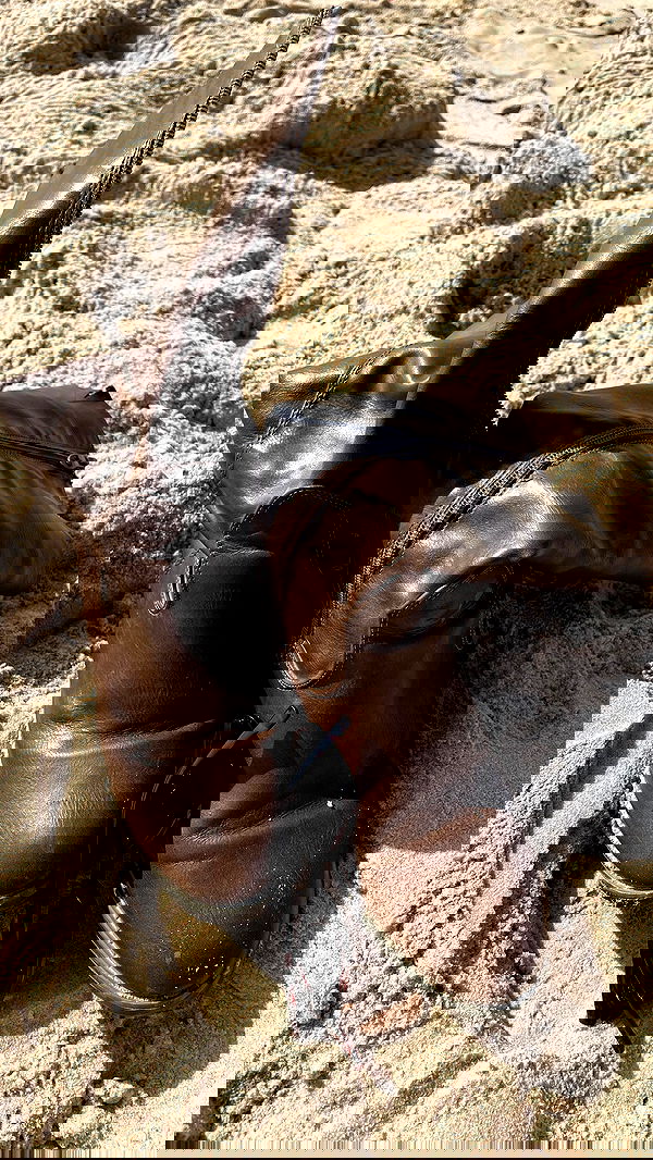 efrat_elmalich image ~ Altpins