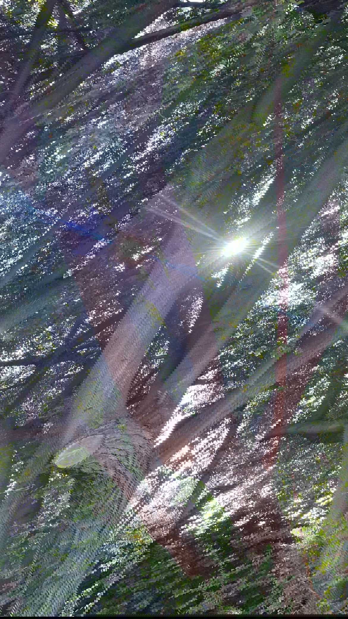 efrat_elmalich instagram image archive image