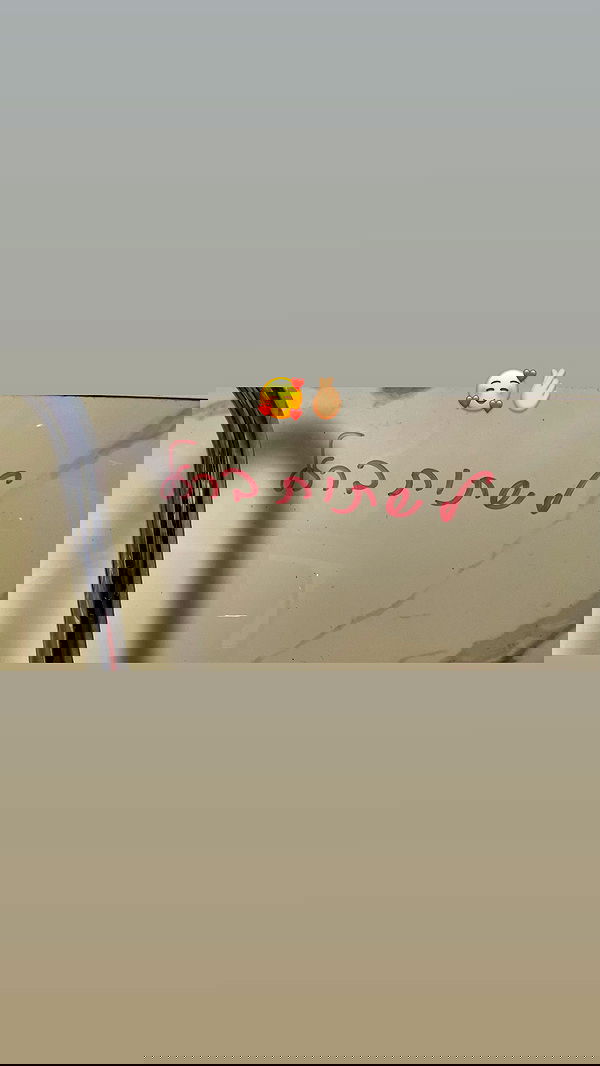 efrat_elmalich image ~ Altpins