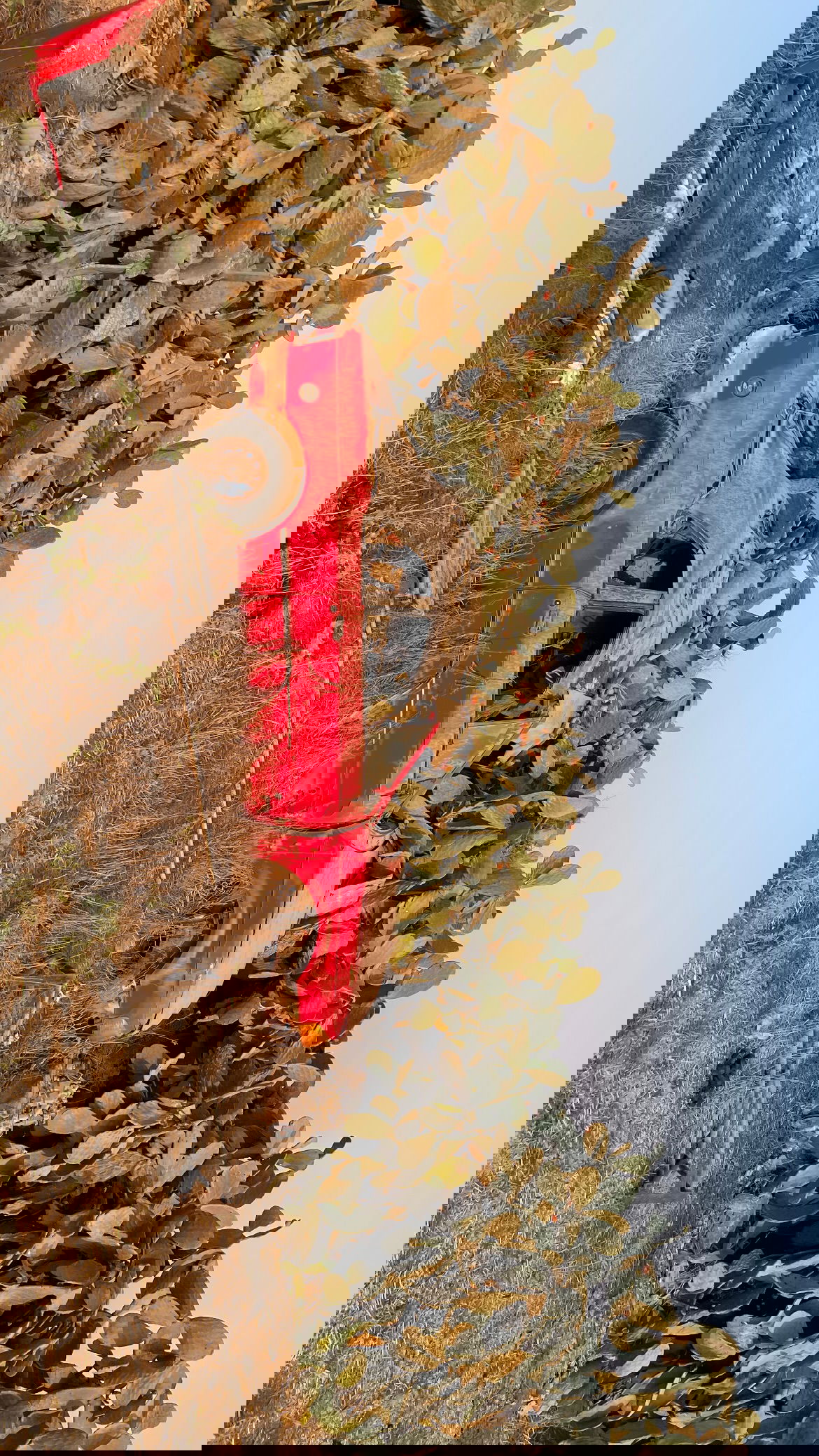 efrat_elmalich instagram image archive image