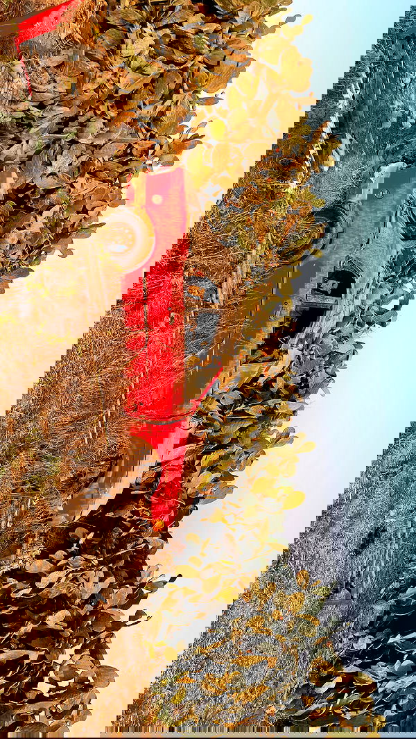 efrat_elmalich image ~ Altpins