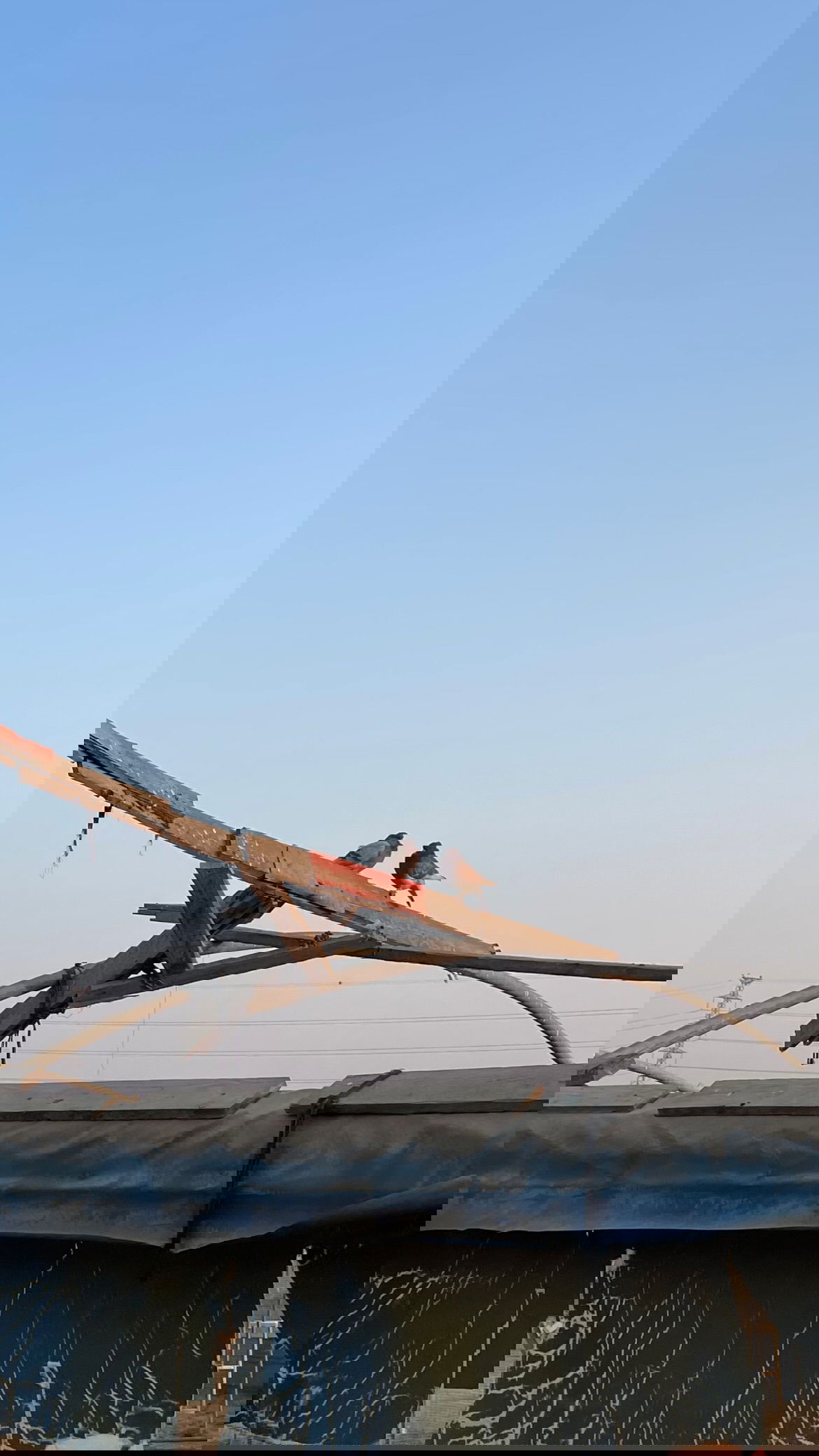 efrat_elmalich instagram image archive image