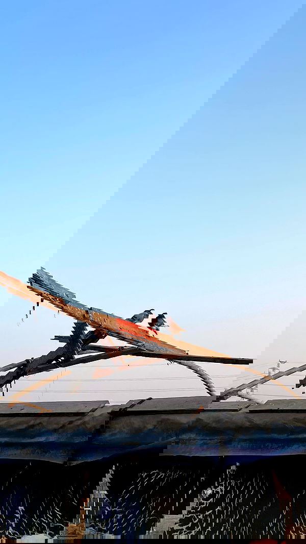 efrat_elmalich image ~ Altpins