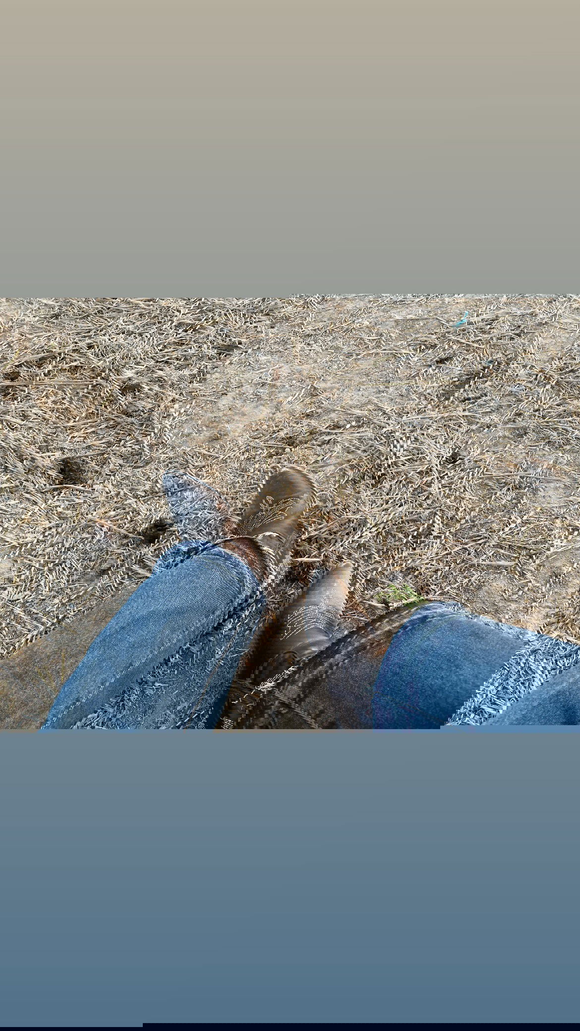 efrat_elmalich instagram image archive image