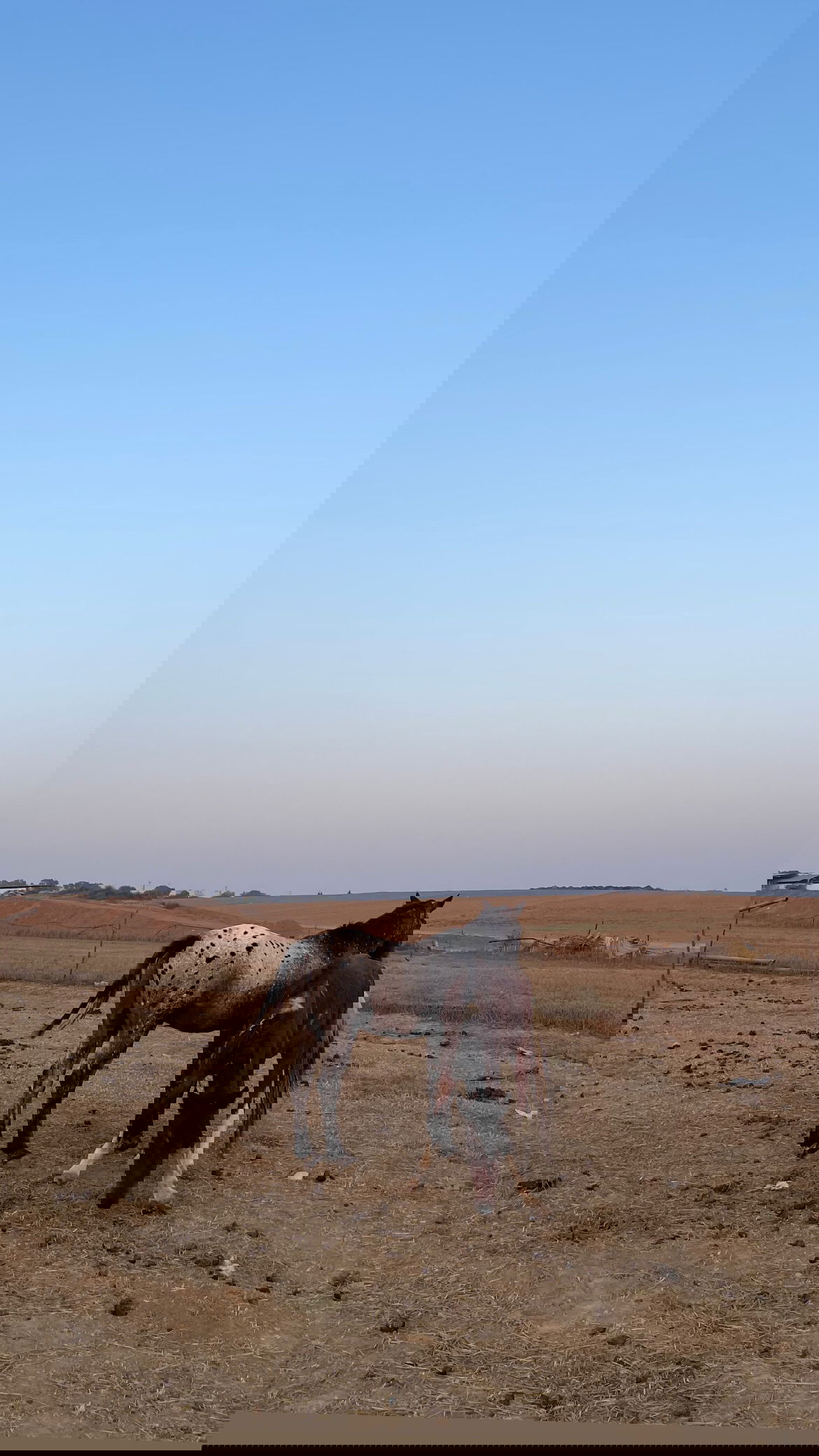 efrat_elmalich instagram image archive image