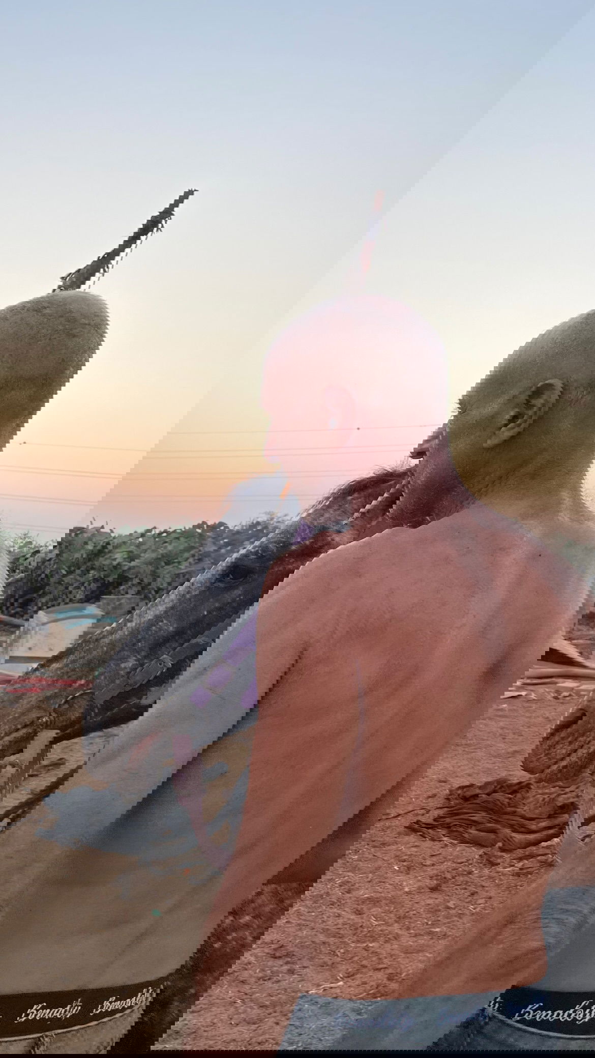 efrat_elmalich instagram image archive image