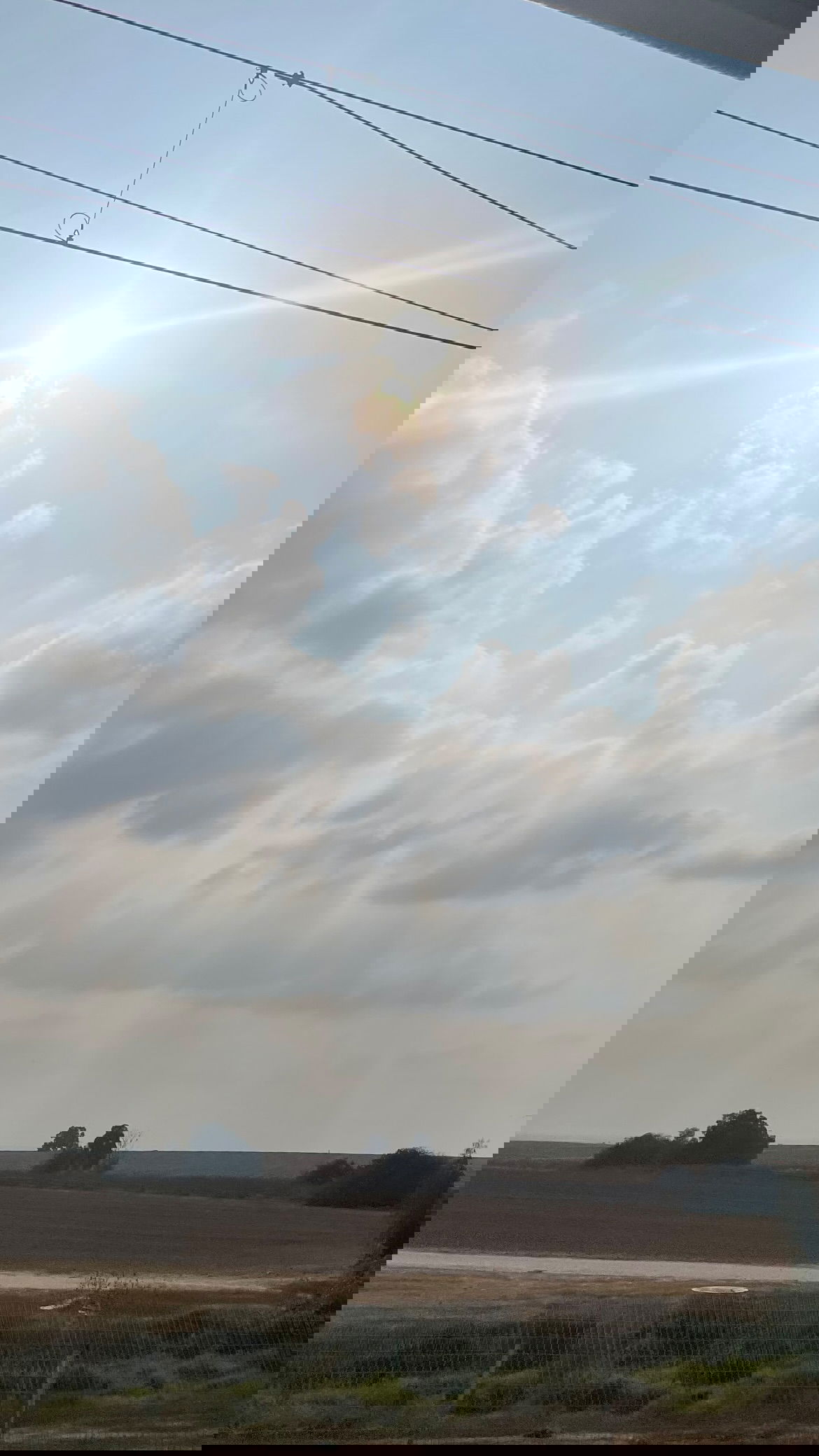 efrat_elmalich instagram image archive image