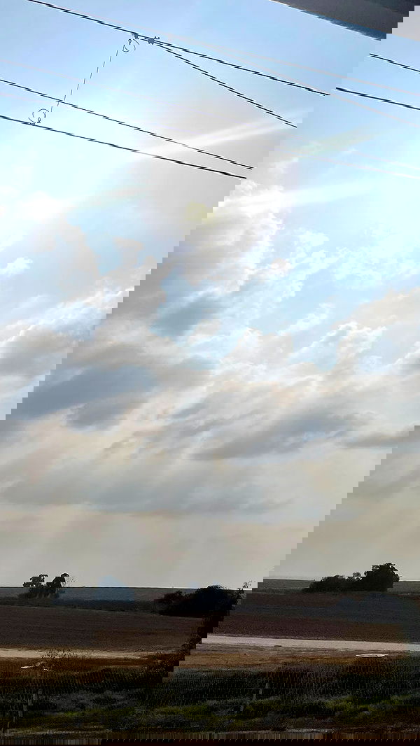 efrat_elmalich image ~ Altpins