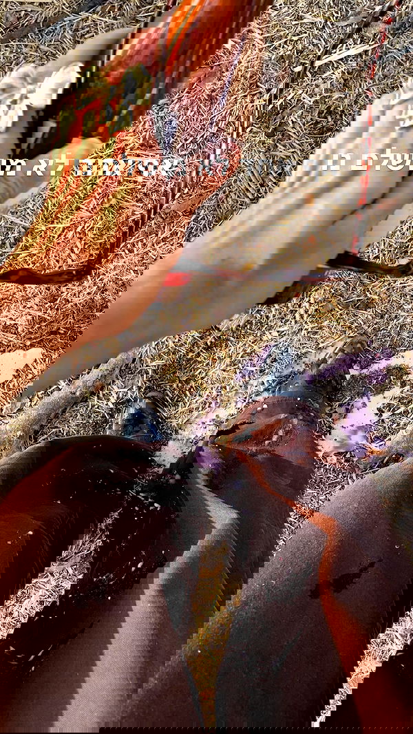 efrat_elmalich image ~ Altpins