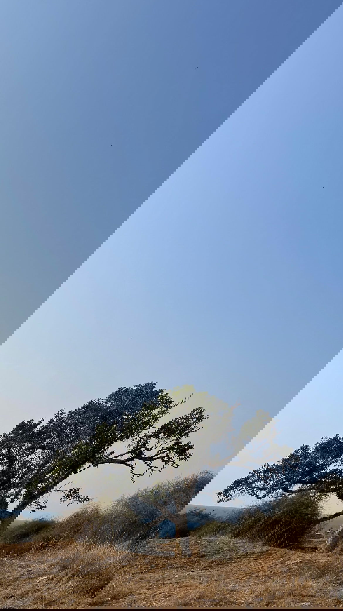 efrat_elmalich instagram image archive image