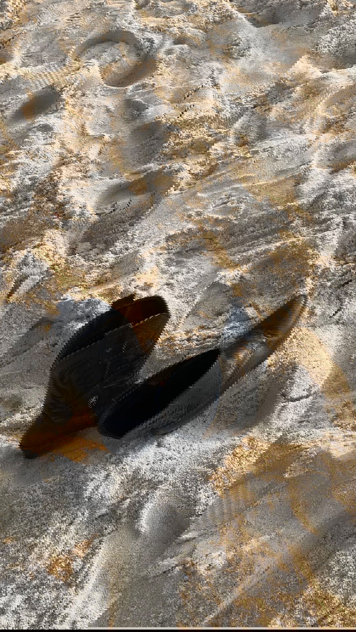 efrat_elmalich instagram image archive image