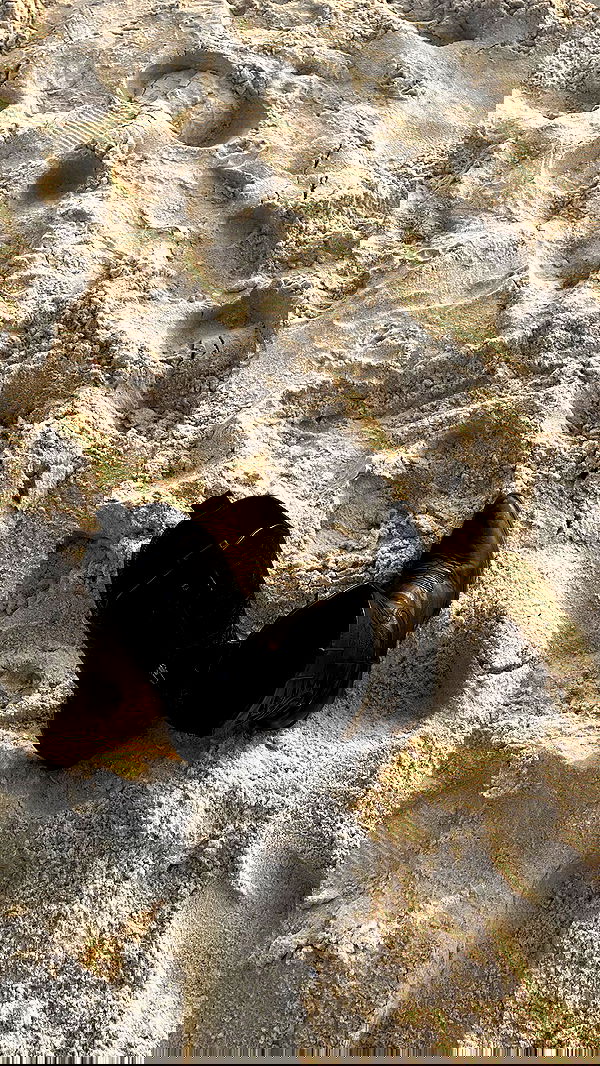 efrat_elmalich image ~ Altpins