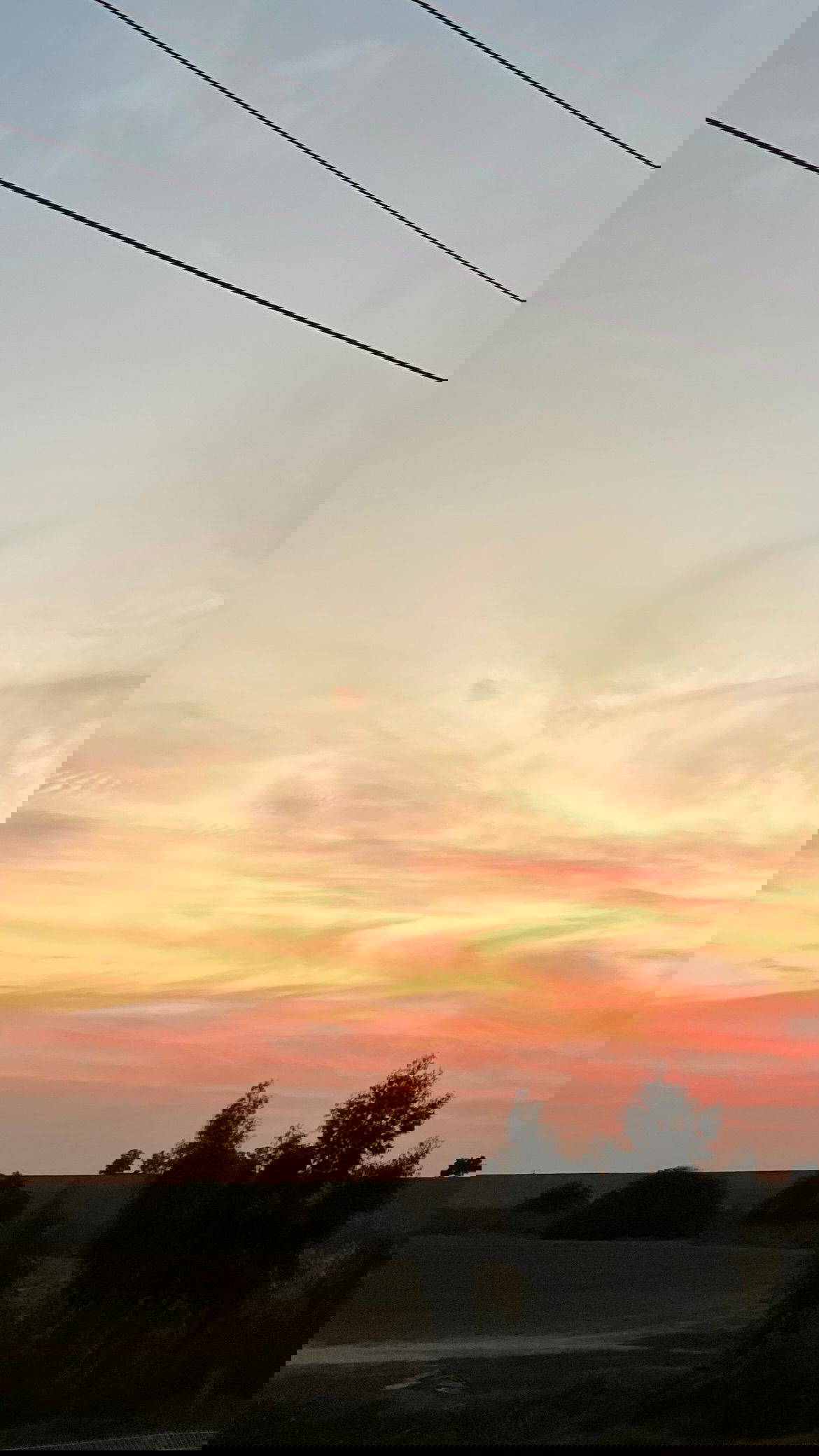 efrat_elmalich instagram image archive image