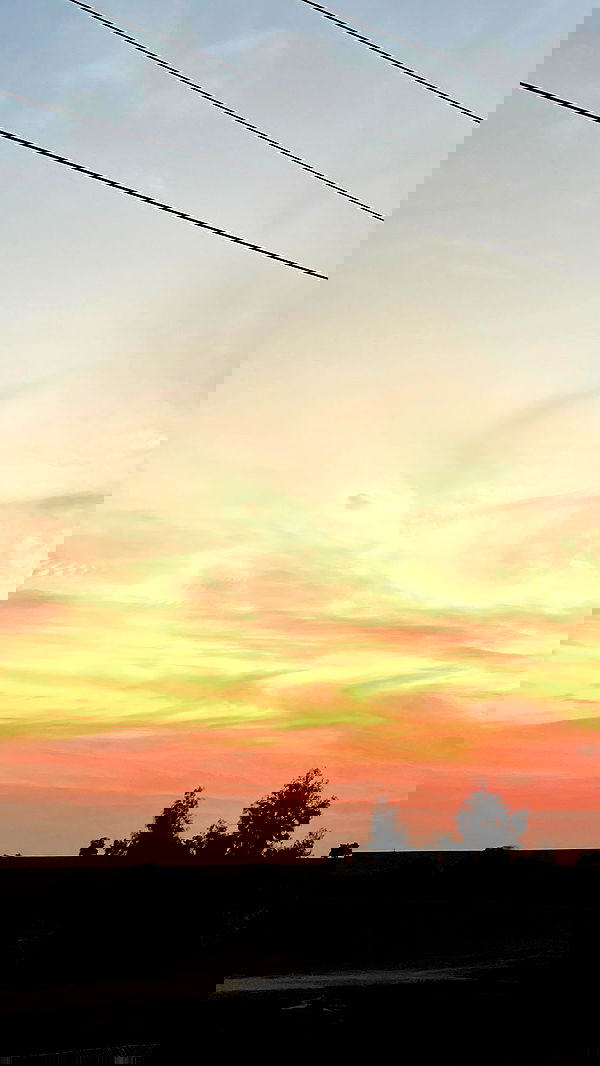 efrat_elmalich image ~ Altpins