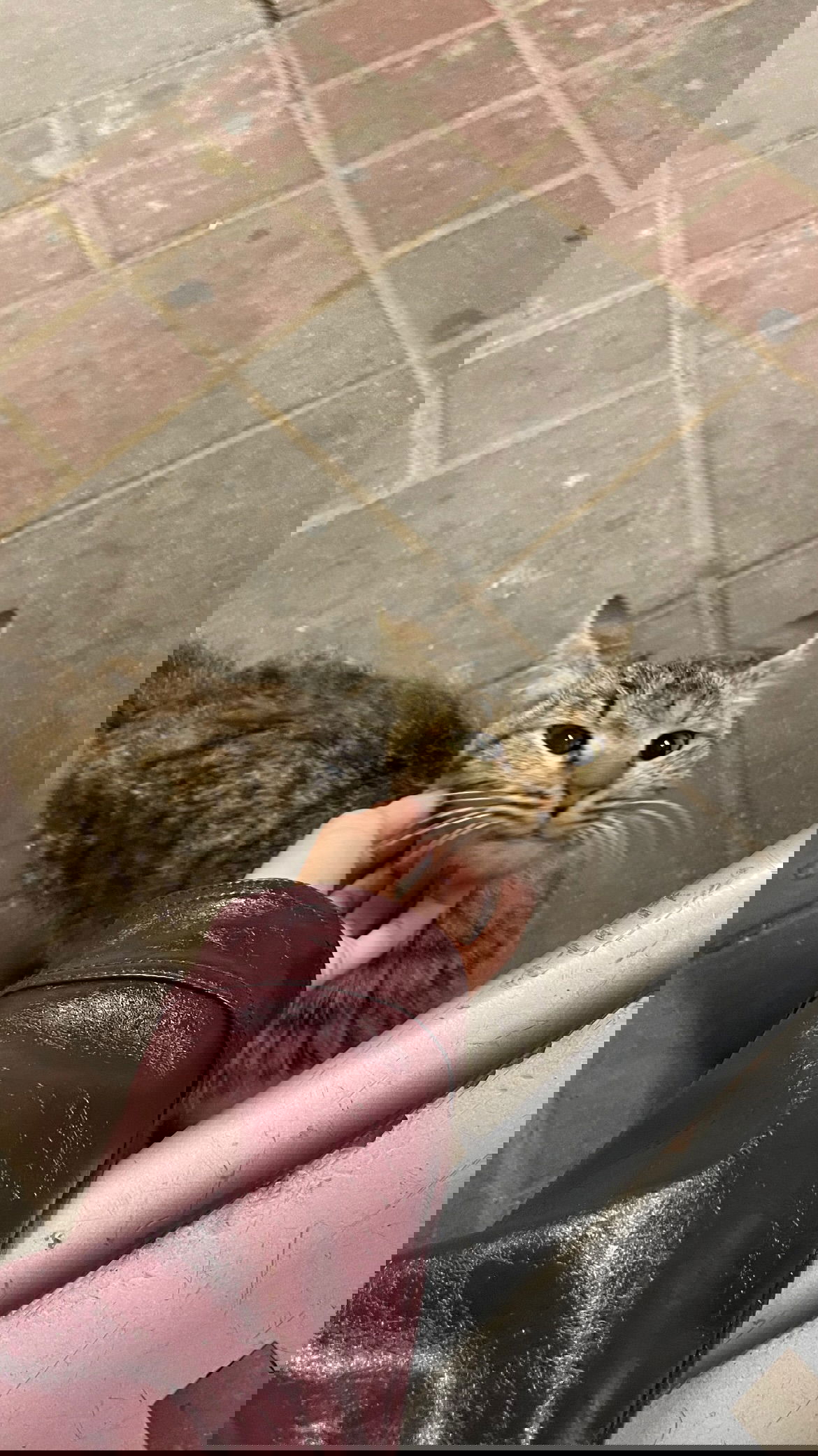 efrat_elmalich instagram image archive image