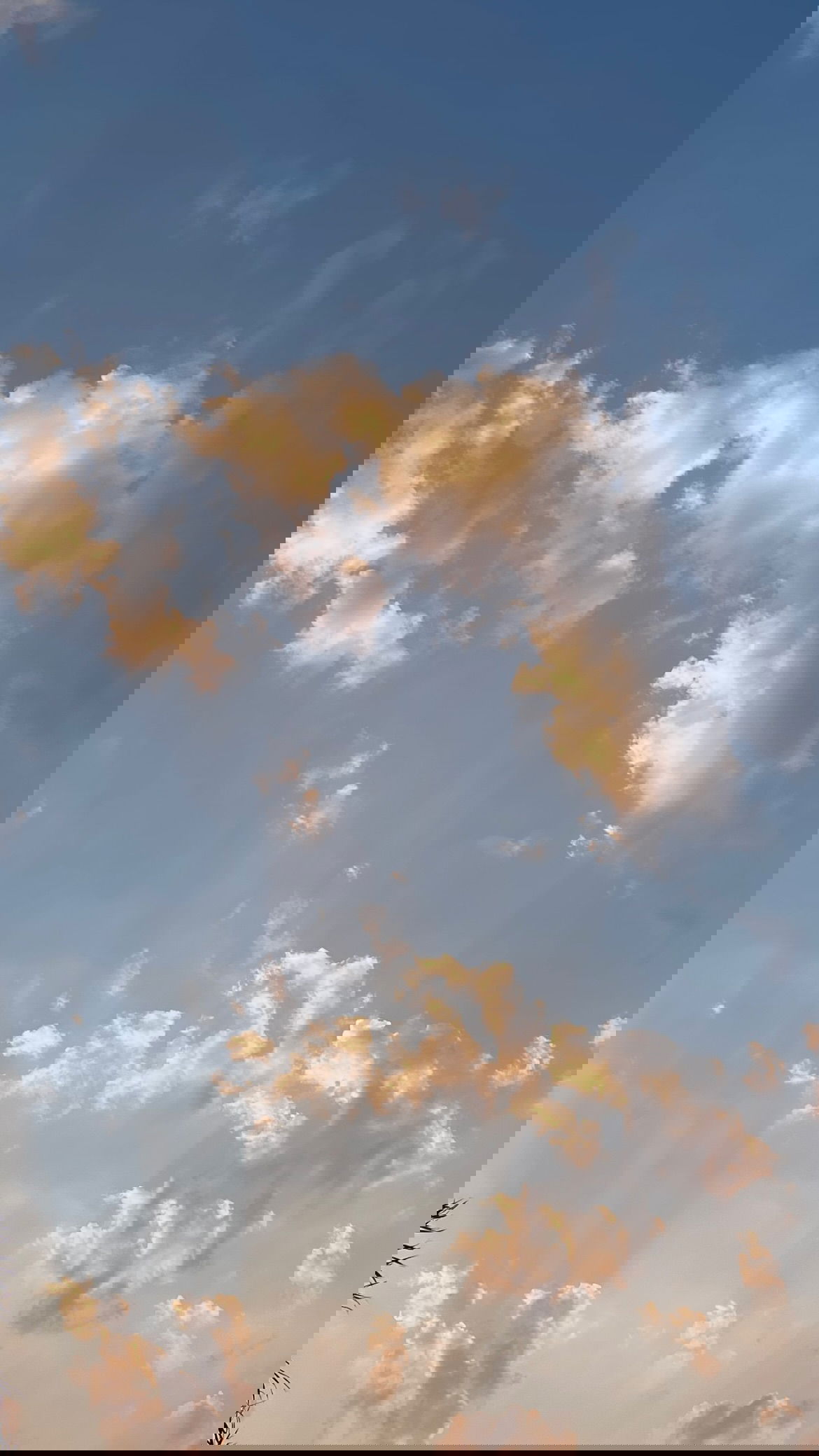 efrat_elmalich instagram image archive image