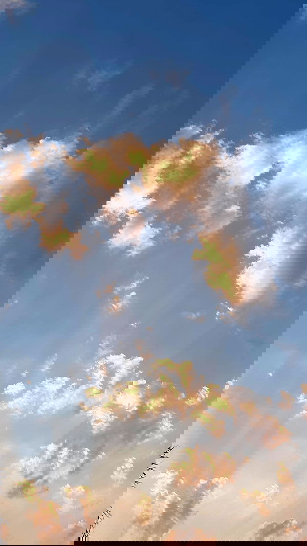 efrat_elmalich image ~ Altpins