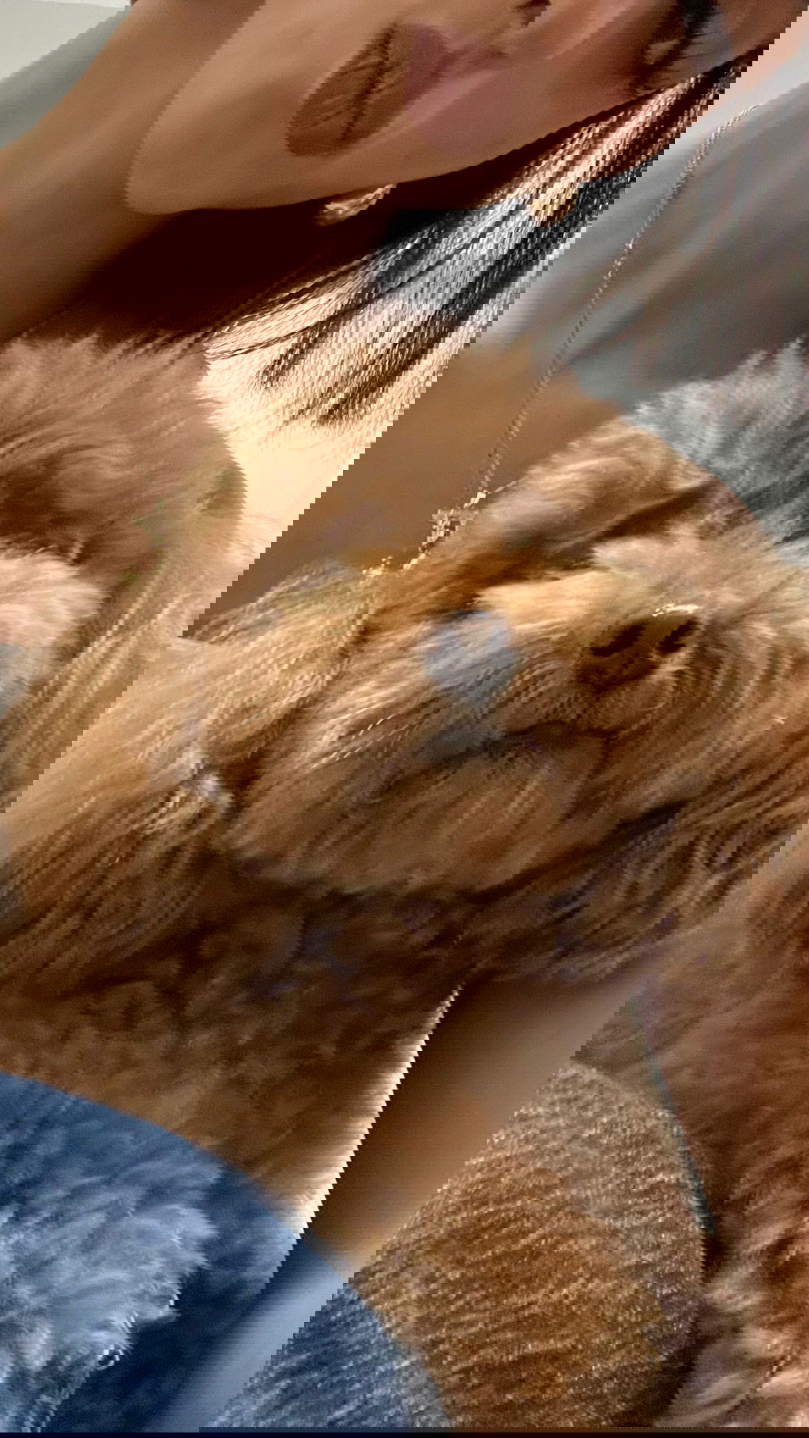 efrat_elmalich instagram image archive image