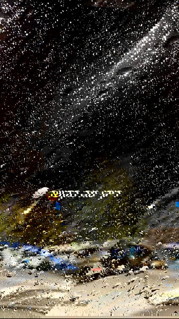 efrat_elmalich image ~ Altpins