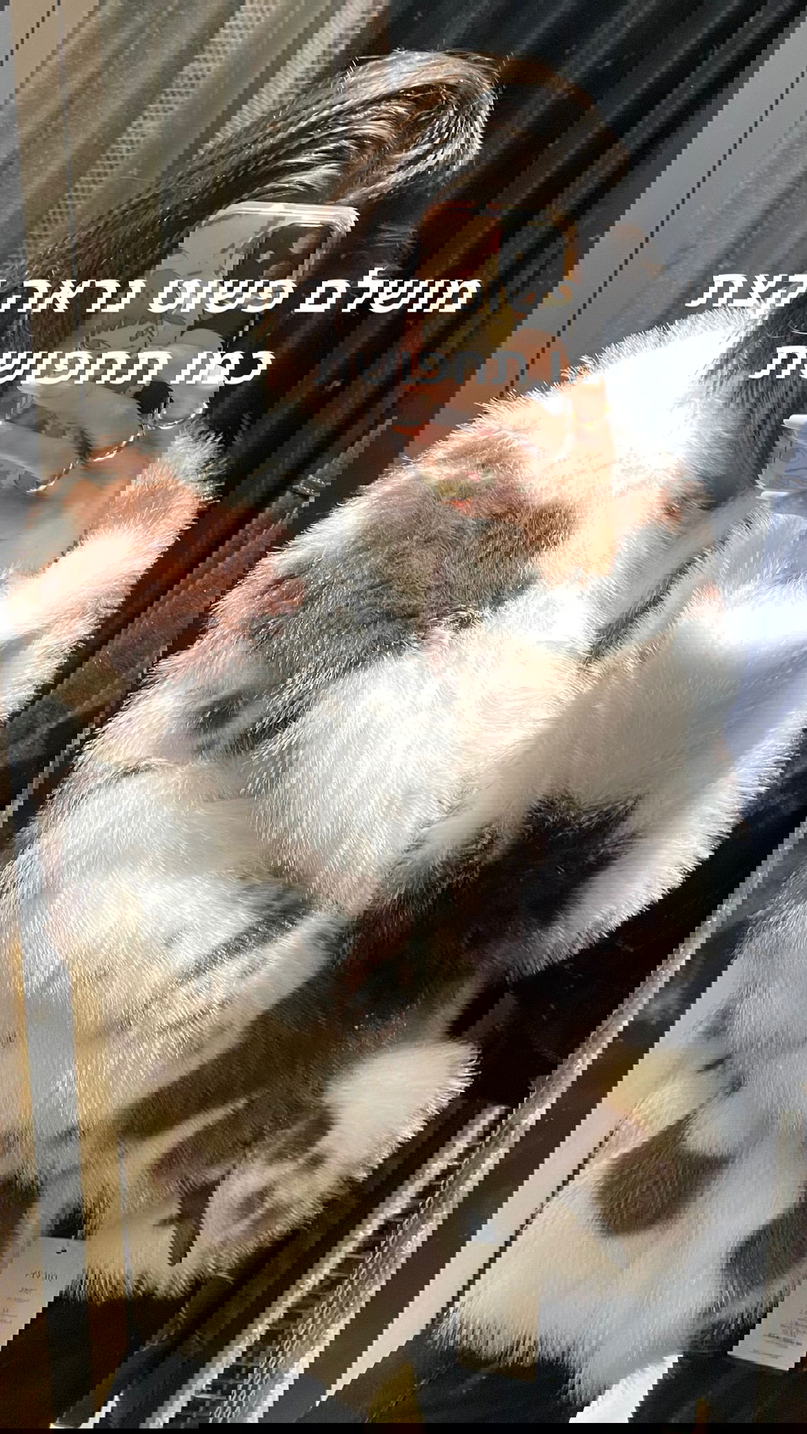 efrat_elmalich instagram image archive image