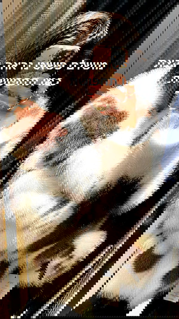 efrat_elmalich image ~ Altpins