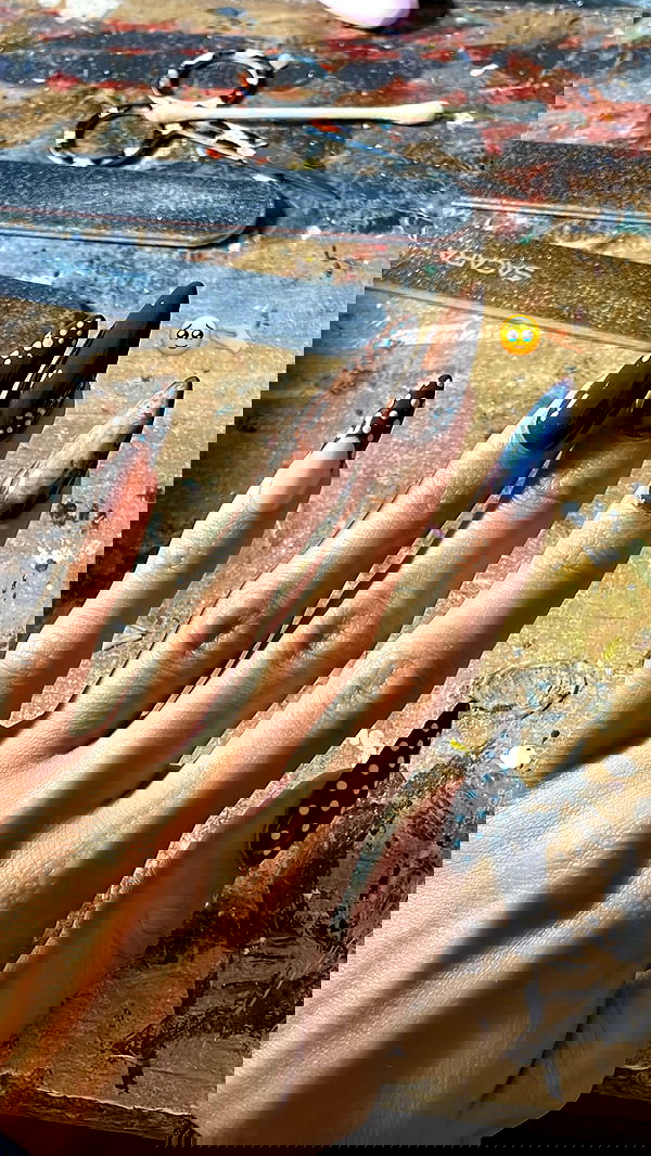 efrat_elmalich image ~ Altpins