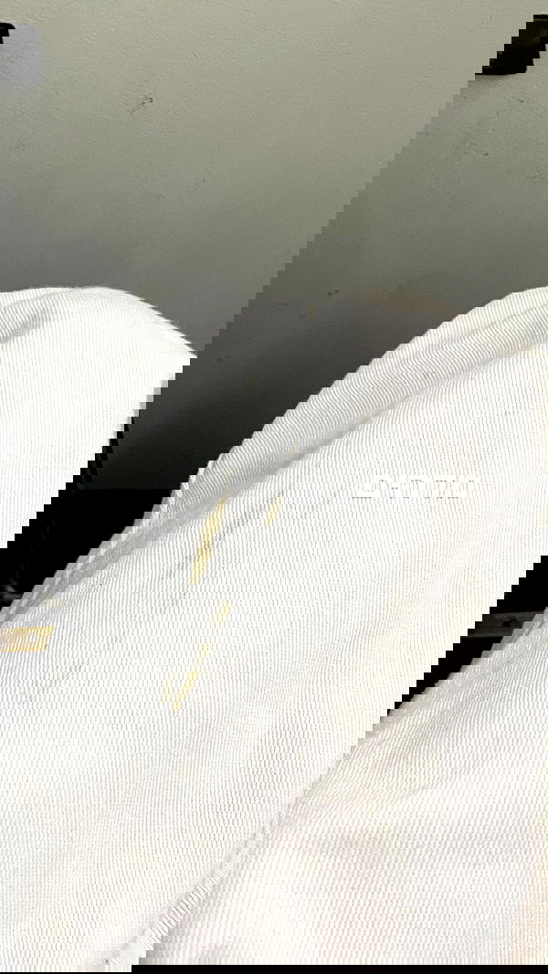 efrat_elmalich image ~ Altpins