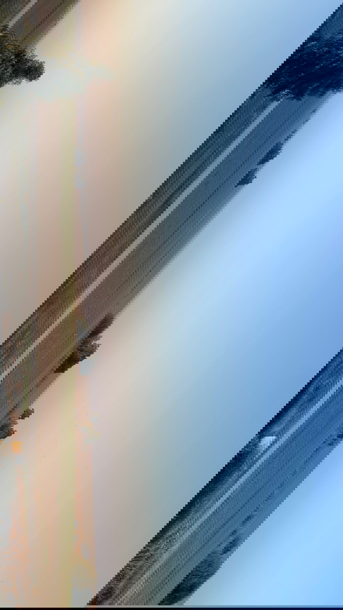 efrat_elmalich instagram image archive image