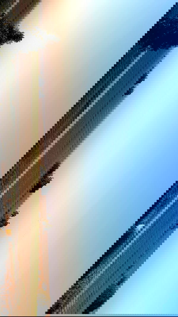 efrat_elmalich image ~ Altpins