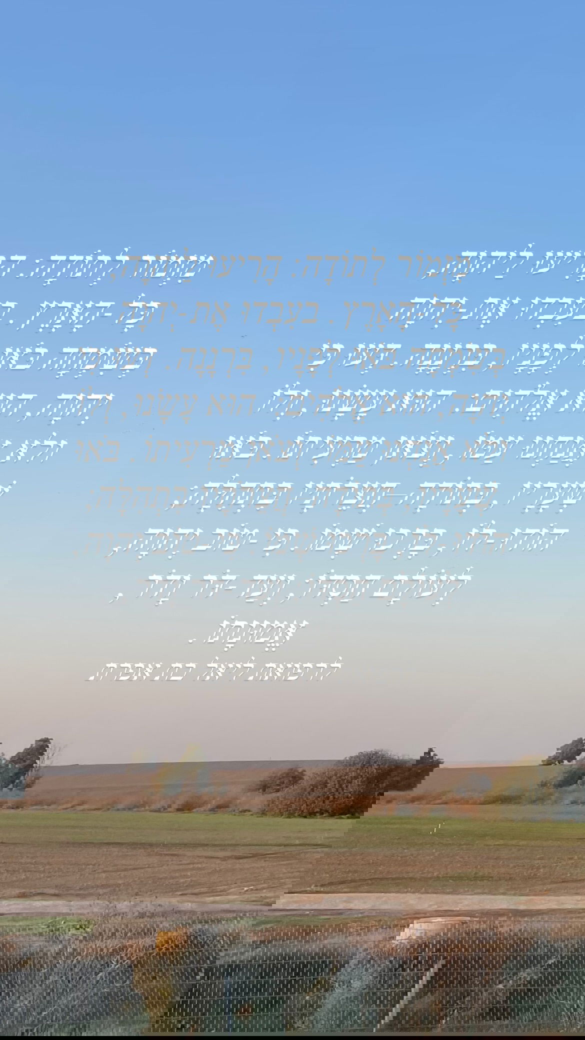 efrat_elmalich instagram image archive image