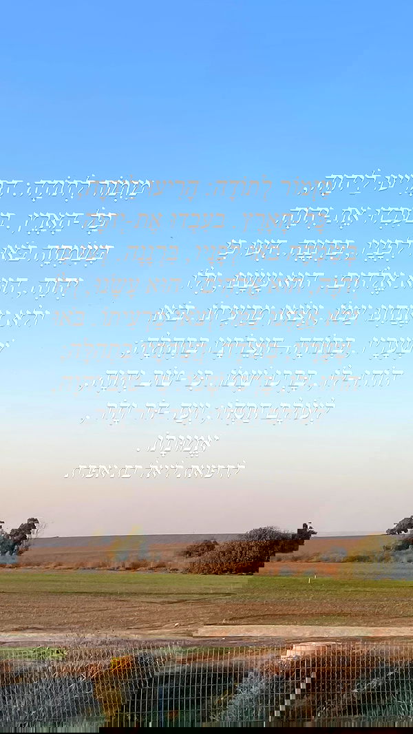 efrat_elmalich image ~ Altpins