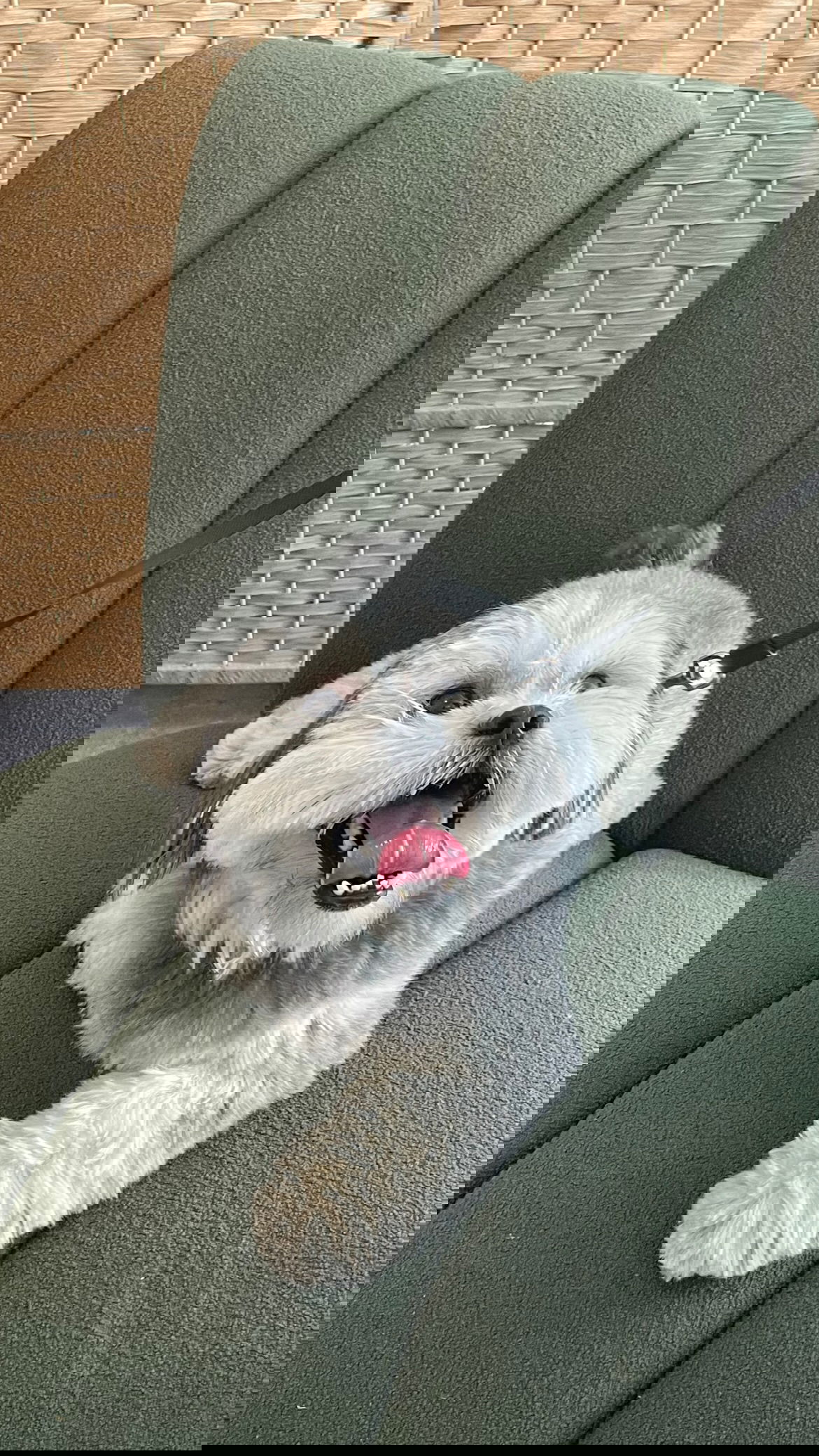 efrat_elmalich instagram image archive image