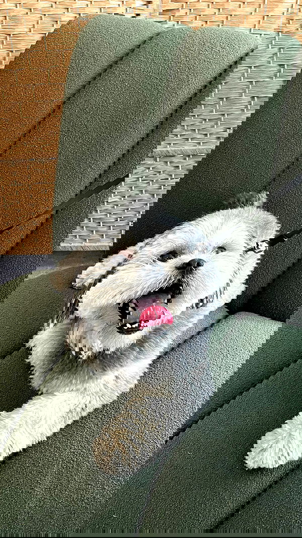 efrat_elmalich image ~ Altpins