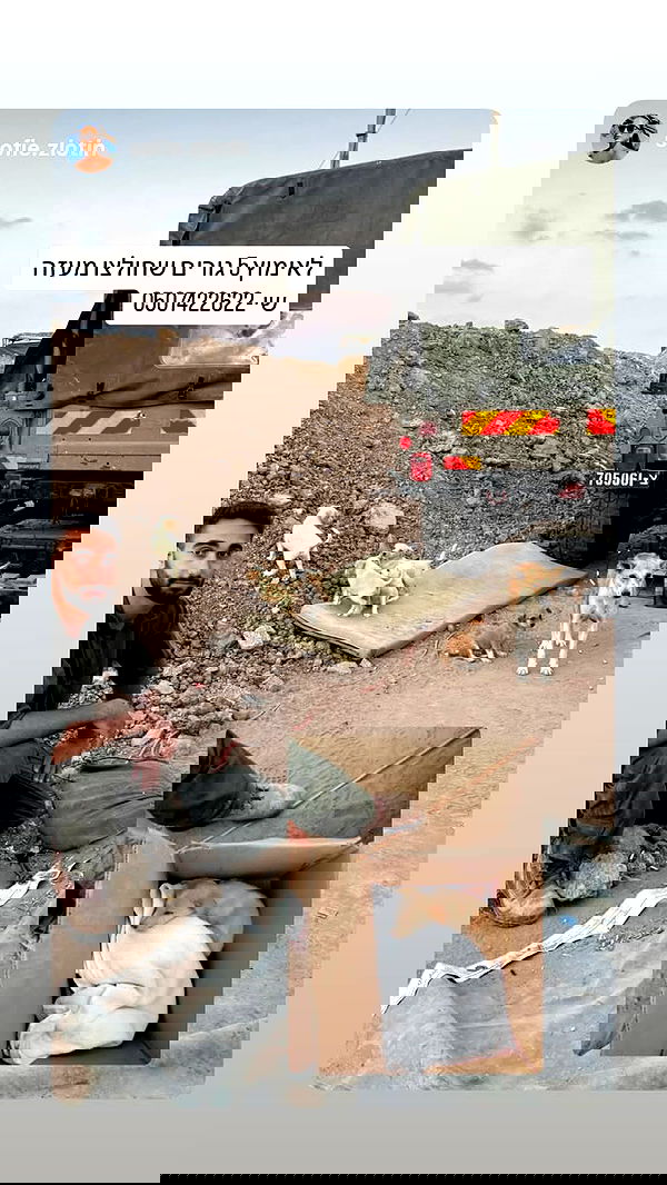 ela.quiceno ela.quiceno archive image