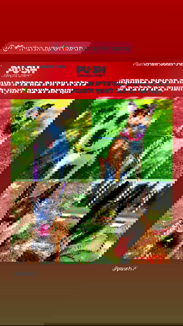 ela.quiceno ela.quiceno archive image