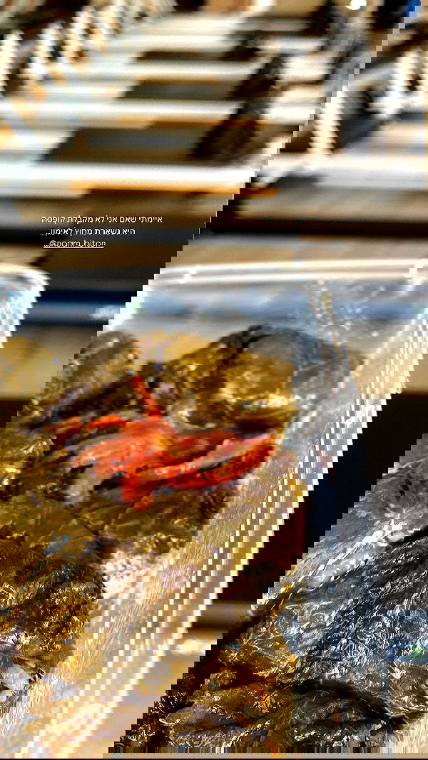 ela.quiceno ela.quiceno archive image