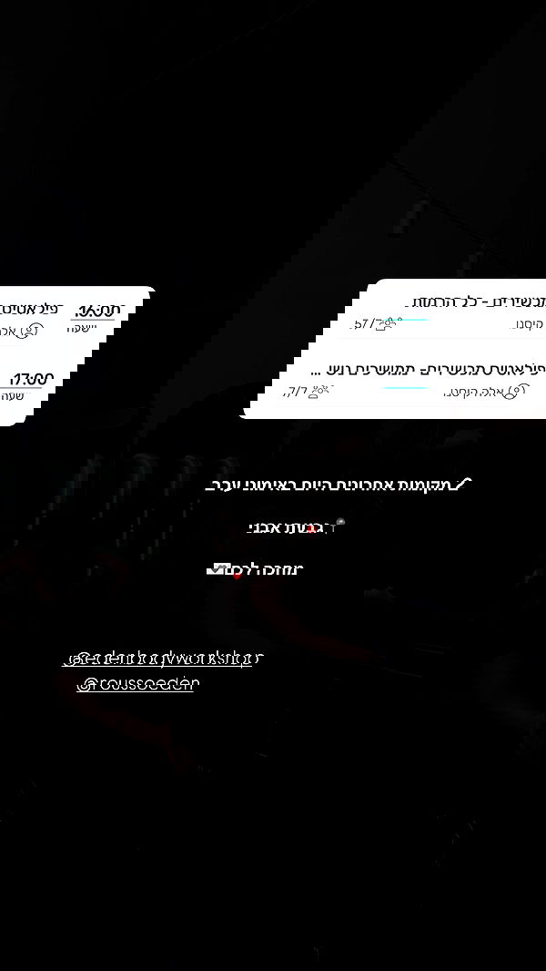 ela.quiceno ela.quiceno archive image