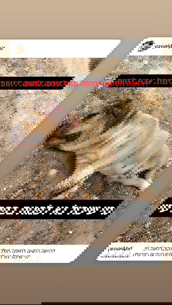 ela.quiceno ela.quiceno archive image