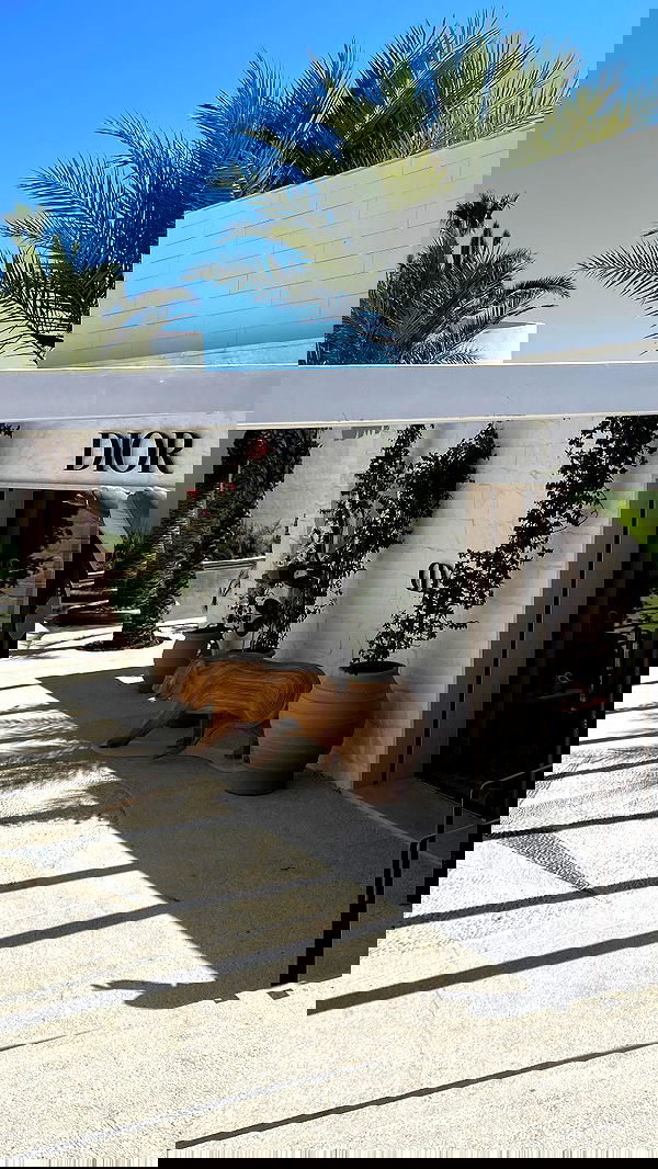 ela.quiceno ela.quiceno archive image