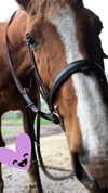 elena_stain Altpins Profile Picture