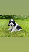 elena_stain Altpins Profile Picture