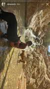 eli_natan_ Altpins Profile Picture