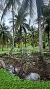 eli_natan_ Altpins Profile Picture